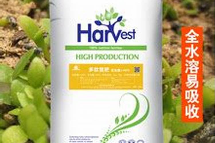 桶装冲施肥与袋装水溶肥的区别各自的优势