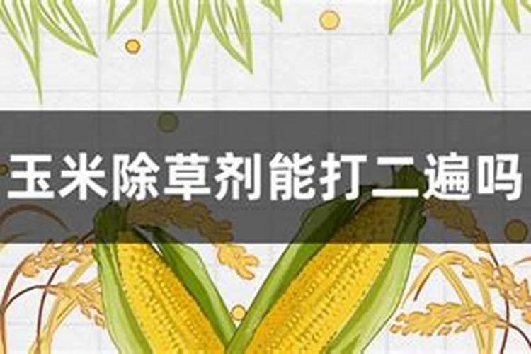 玉米叶面肥几个叶打最好？