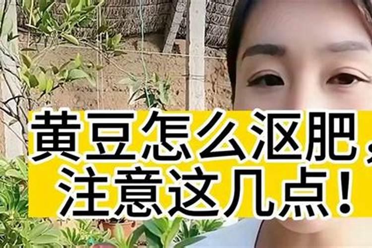 黄豆沤肥要多久 黄豆沤的肥料多久才能用