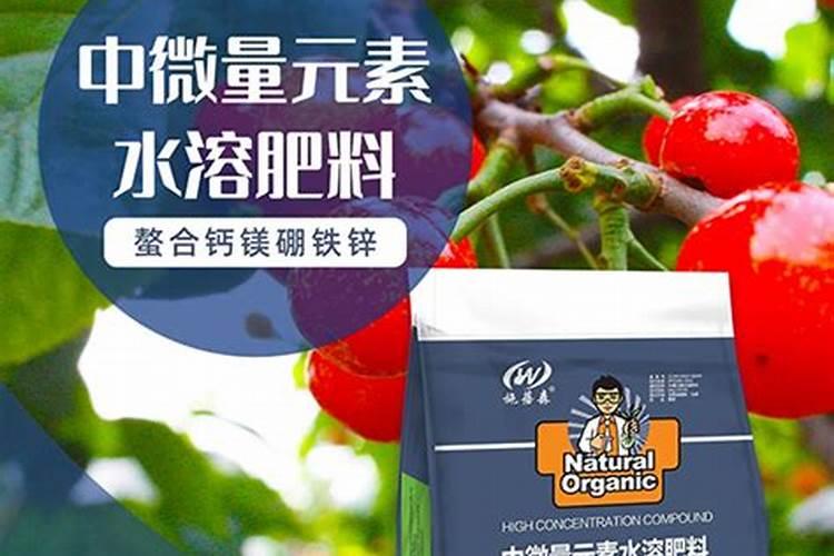 微量元素肥料的使用方法是什么