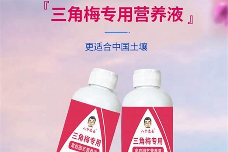 三叶梅的养殖方法和注意事项有哪些