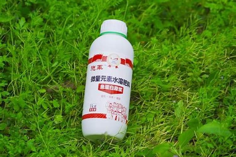 柑橘用什么水溶肥好