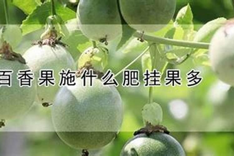 钙镁磷肥怎样用效果好 钙镁磷肥使用注意事项有哪些