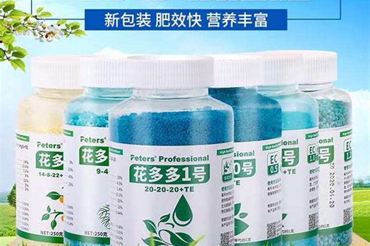 瑞香花叶子蔫了怎么办 打蔫原因及补救方法