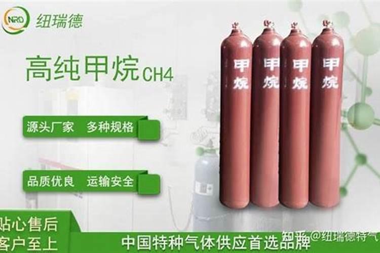 甲烷蒸汽转化发生的主反应是什么？