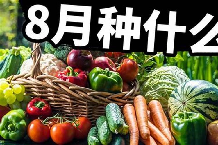 秋播大蒜地膜覆盖栽培技术