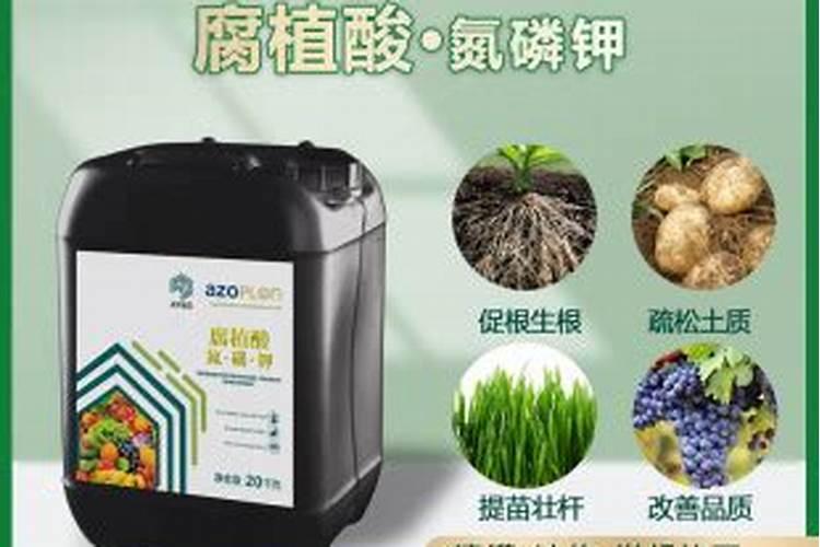 樱桃树施什么肥最好