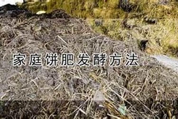 娃娃菜上有黑色的点还能吃吗