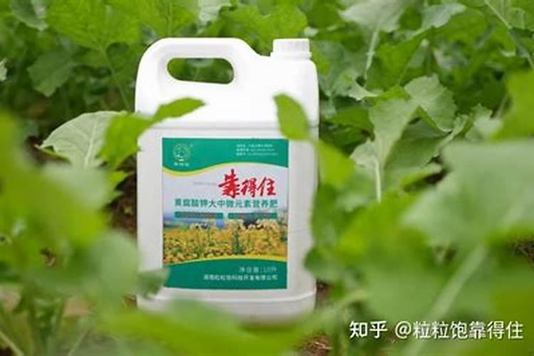 怎么对小麦施钙肥？