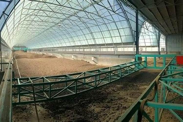 植物缺肥症状及对应的花肥沤制方法:薄肥淡施