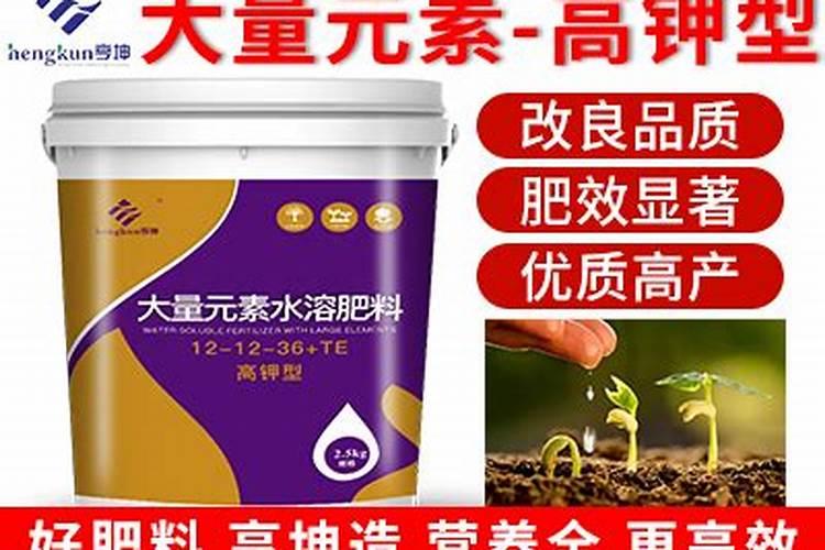 盆里撒点它,三角梅、长寿不用施肥就开花!