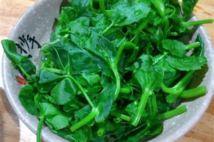 想提高四季豆产量需要注意哪些施肥技巧