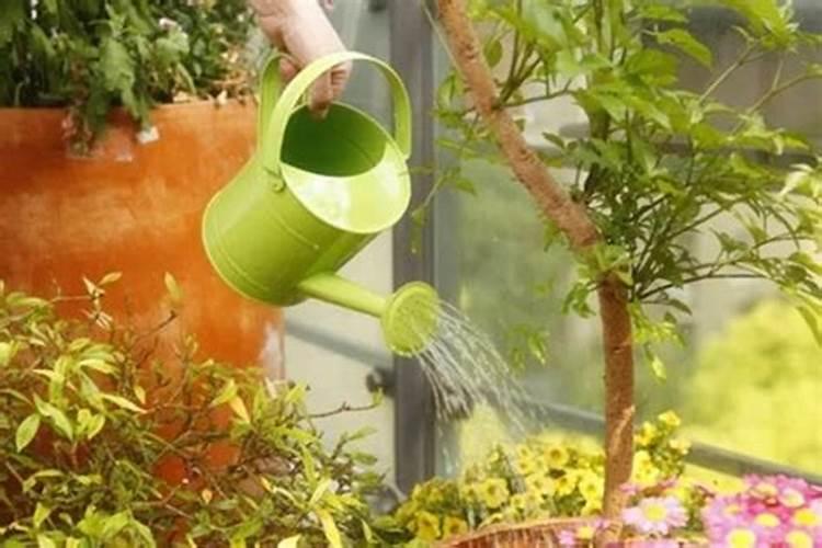 花草什么时候施肥最好 花草施肥时间