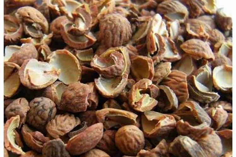 核桃壳可以做花土吗 核桃壳种花处理方法