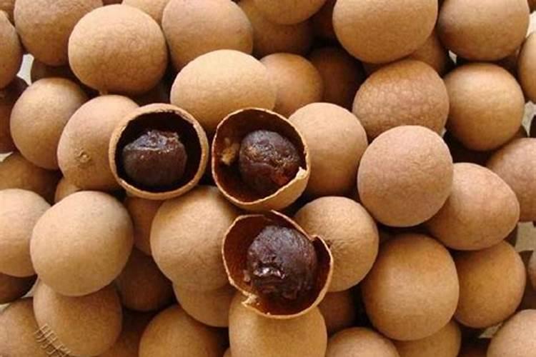 龙眼成年结果树需要掌握的施肥方法有哪些 施肥方法总结