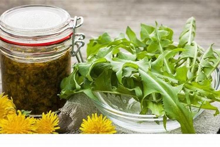 开花植物如何过冬？