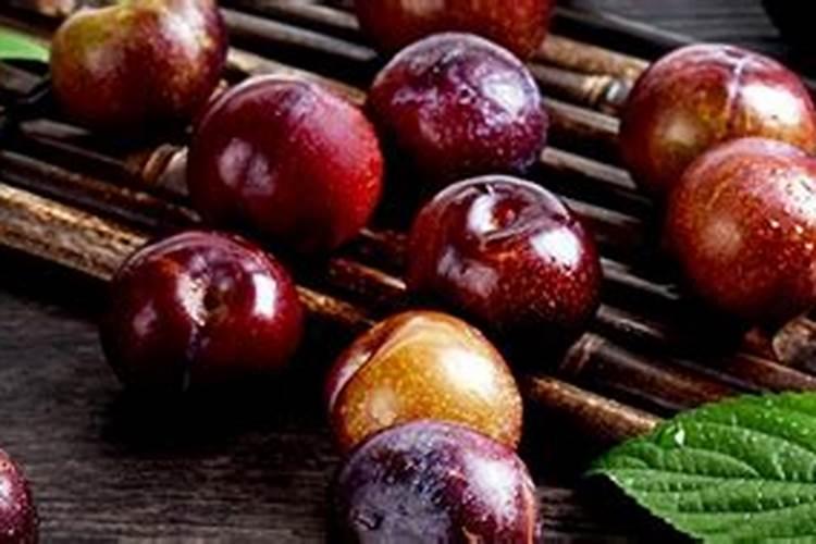 让李子更甜的方法