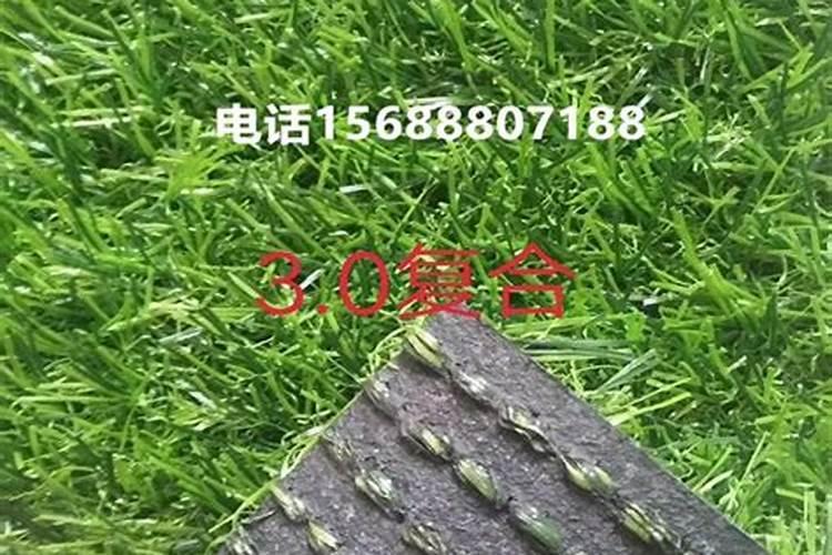 夏季草坪用什么杀菌剂最好