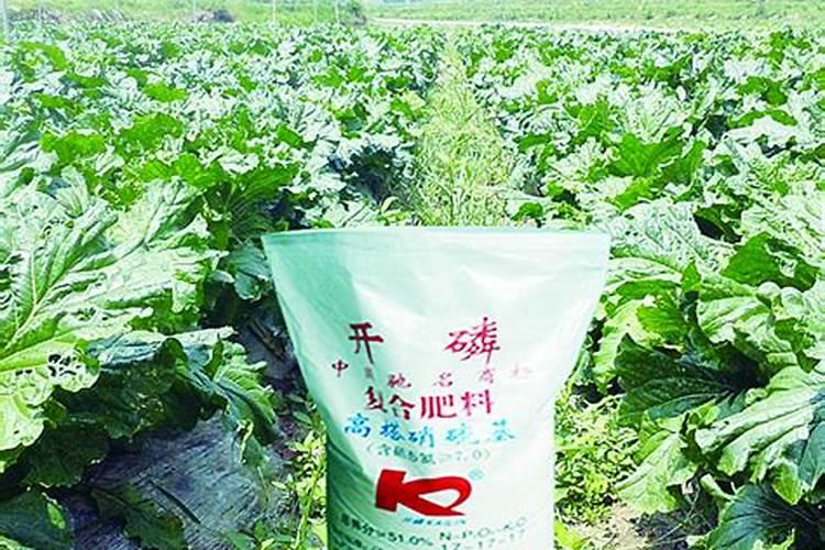 青海省冷湖镇在什么地方
