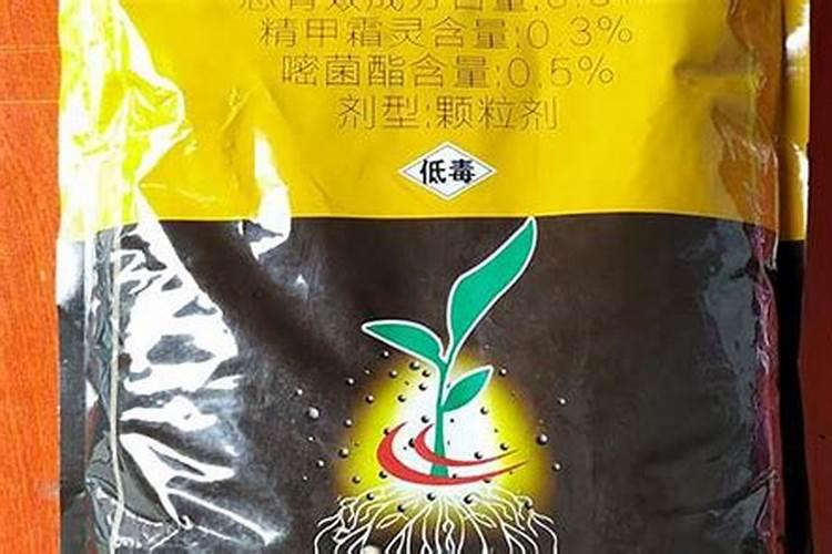 花生生长到什么时候控旺好(花生长多高控旺能增产)