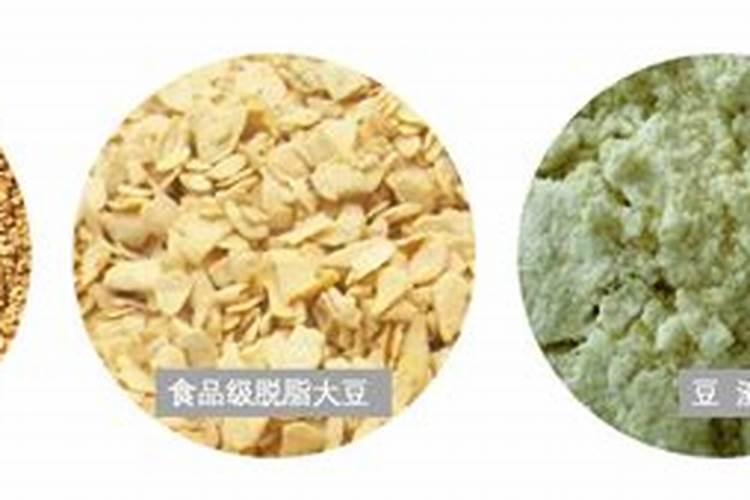 鱼类浓缩蛋白实例