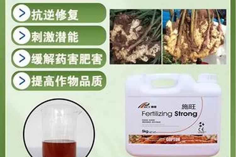 甲壳素肥料的功效与作用