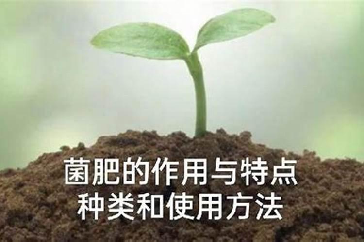 哈尔滨老君炉食品有限公司怎么样？