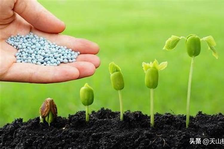 怎样科学合理使用化肥和农药