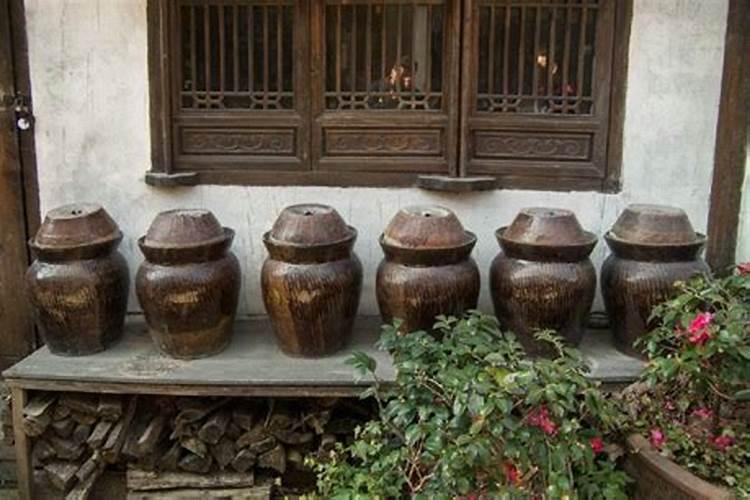 辣椒阳台盆栽种植方法