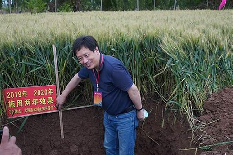 连续几年用复合肥会不会板结土地
