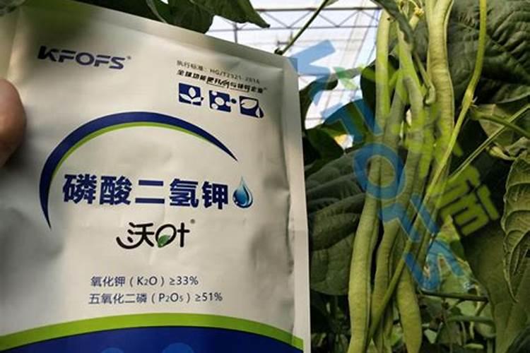 约旦的自然资源