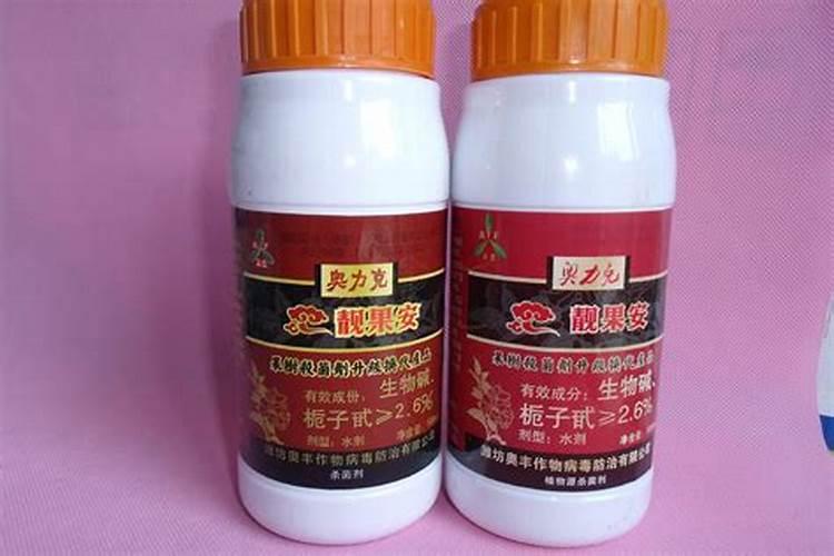 核桃树黑腐病防治