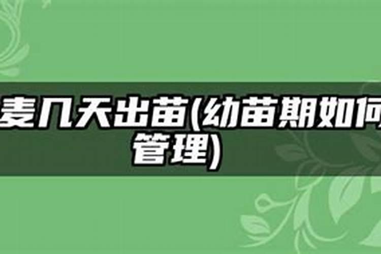 尿素对植物生长的作用是什么？该如何使用？