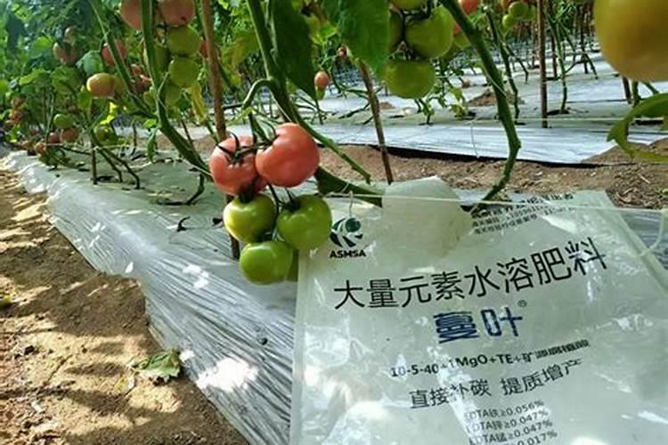 磷肥怎样使用才是正确 磷肥的使用方式