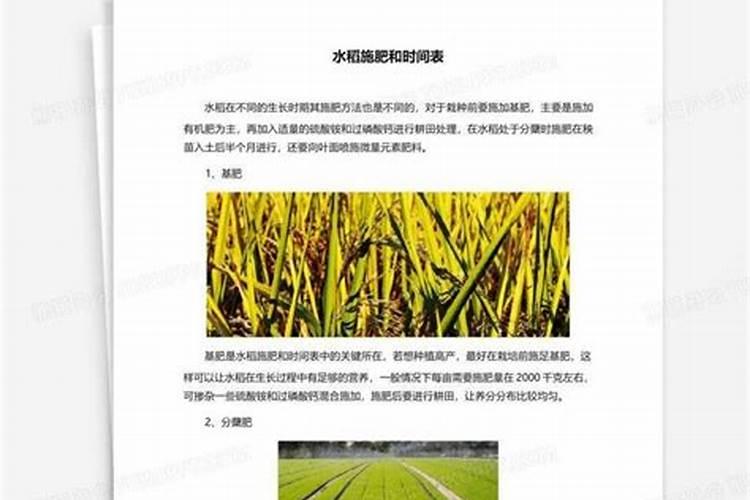 昆脉龙水稻专用螯合肥如何？