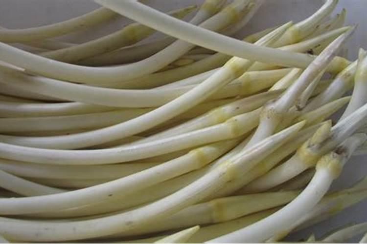 藕带怎么种才能高产