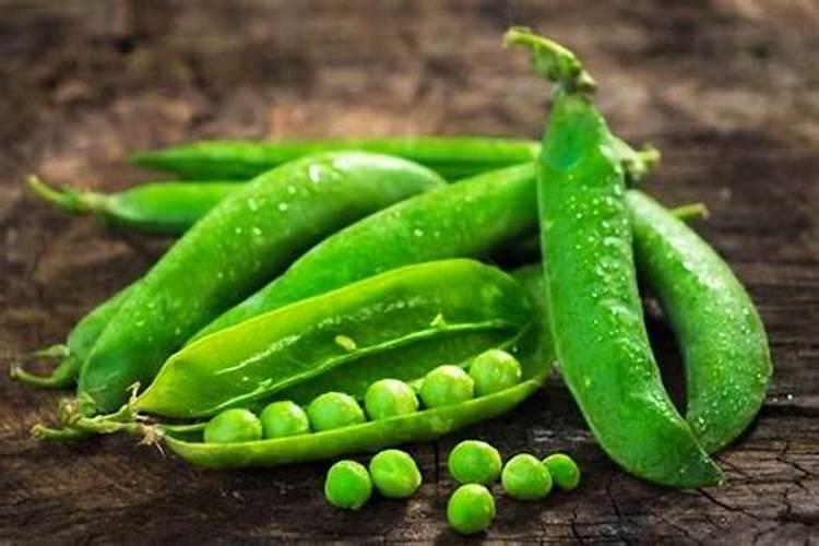 豌豆下部叶片发黄、干枯是怎么回事？是缺氮,还是枯萎病？