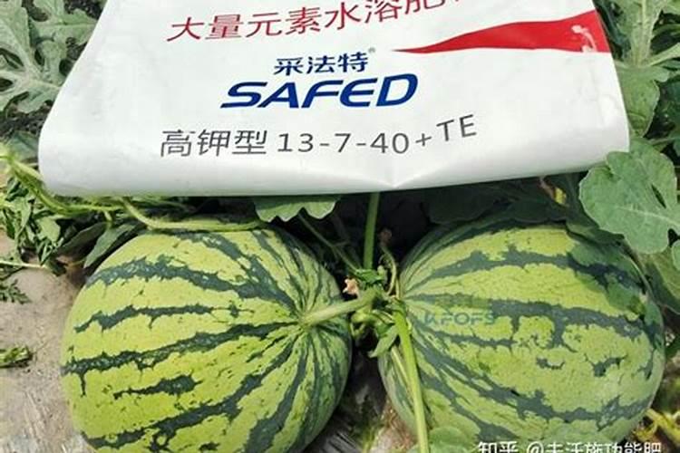 喜满地水溶肥在网上可以买到吗？