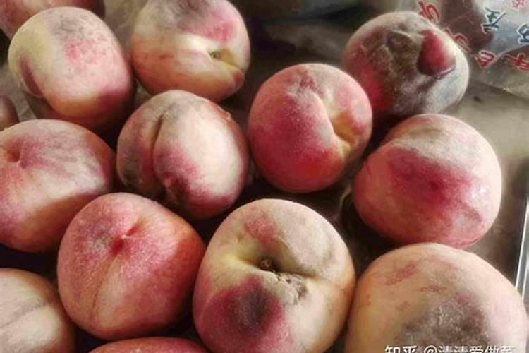 烂桃子做肥料养花可以吗