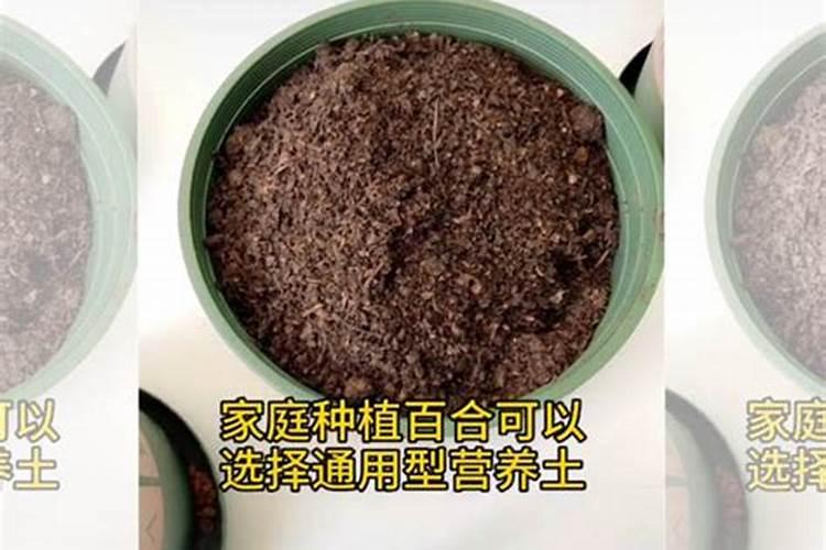 黄腐酸钾正确兑水方法