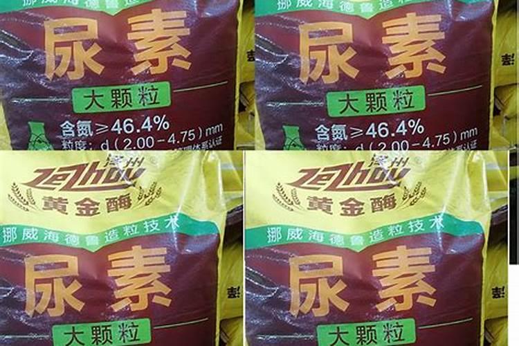 氮肥好还是尿素肥好