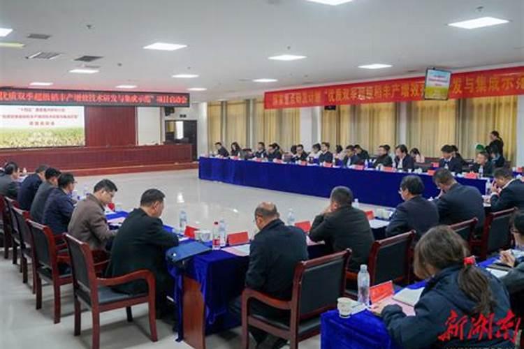 洗米水怎么发酵做肥料