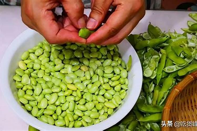 沙糖桔怎么种植技术