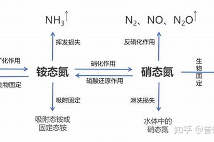 什么是铵态氮肥