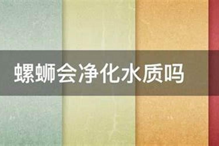 淡水螺蛳养殖方法