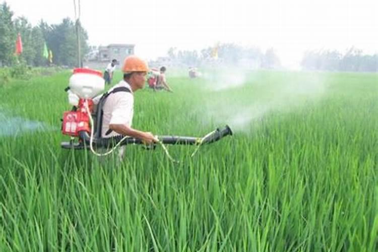 农药噻虫嗪能和微量元素水溶肥混用吗？