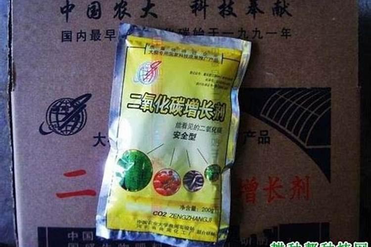 小金桔结出了果子应该弄施肥还是喷药