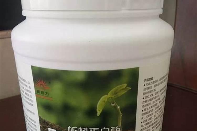 夏天钓鱼用什么饵料最好(夏季常见饵料推荐及使用小技巧)