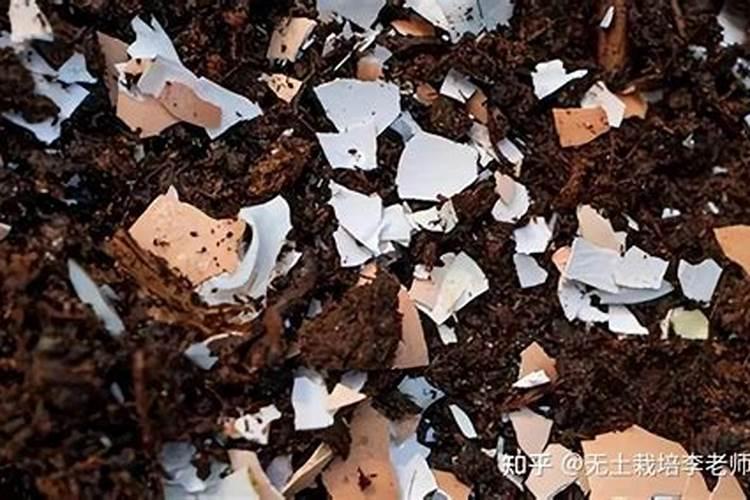 鸡蛋壳为什么可以做肥料