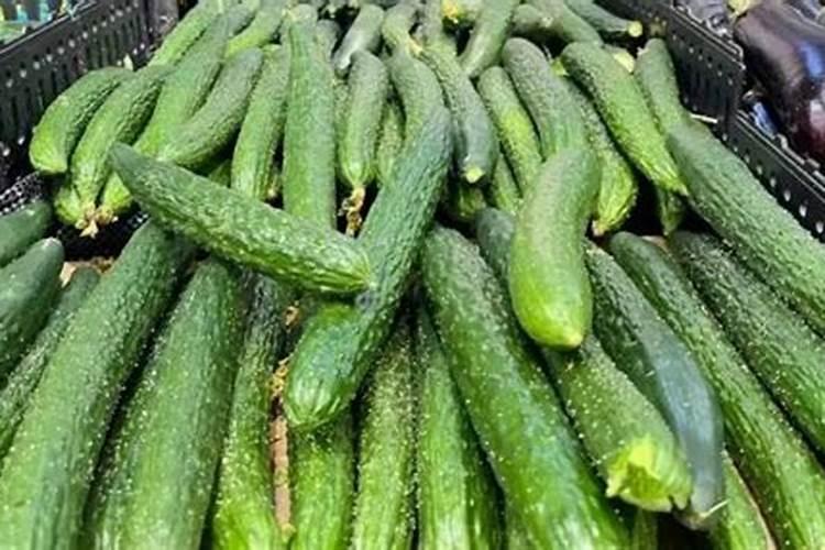 黄瓜专用肥能给、胡萝卜上吗？